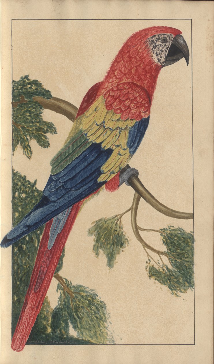 A page from the 