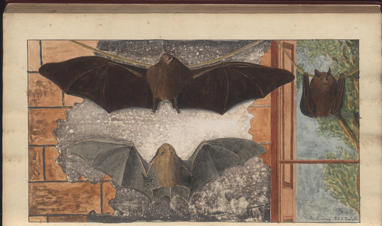 A page from the 