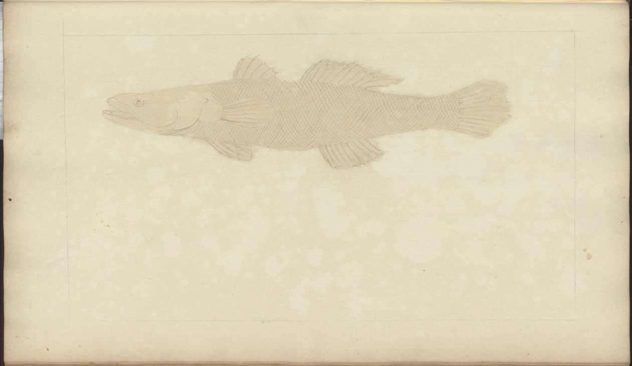Lindsay Drawings Vol. VII, 22 by John Lindsay