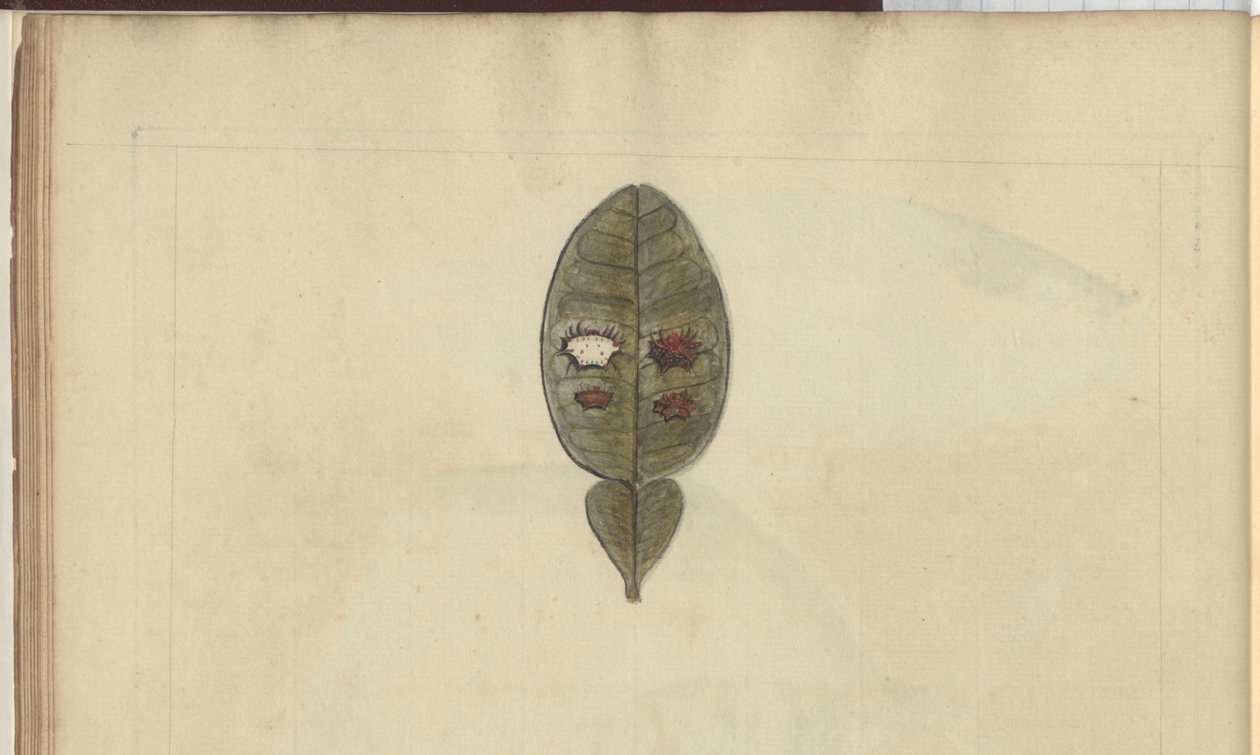 Lindsay Drawings Vol. VII, 3 by John Lindsay