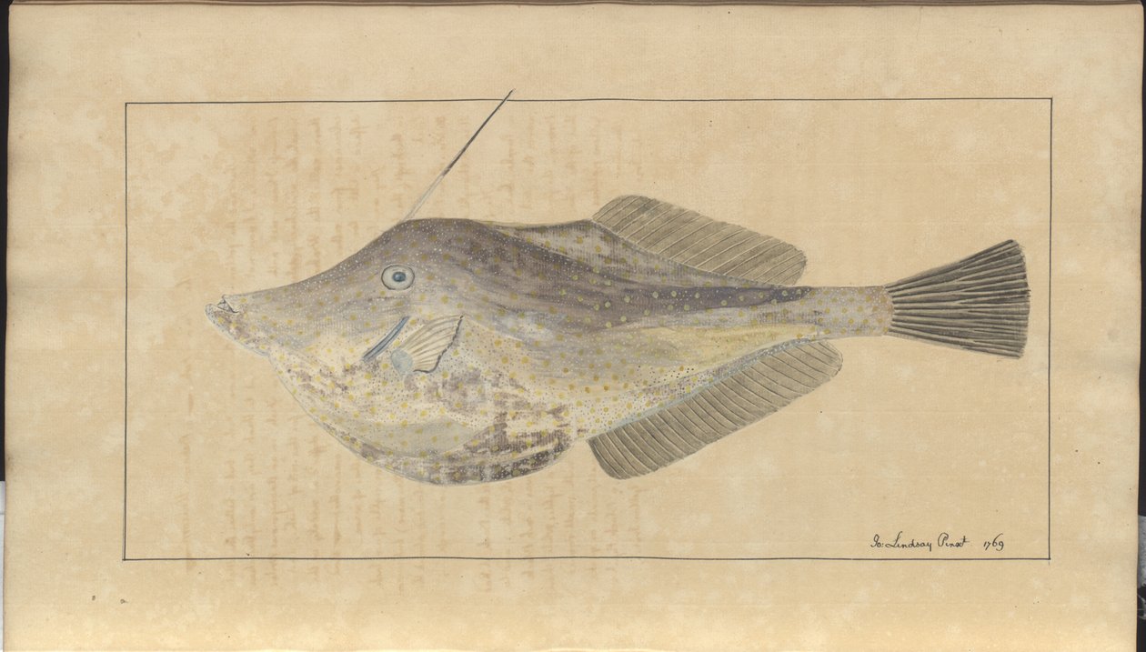 Lindsay Drawings Vol. VII, 7 by John Lindsay