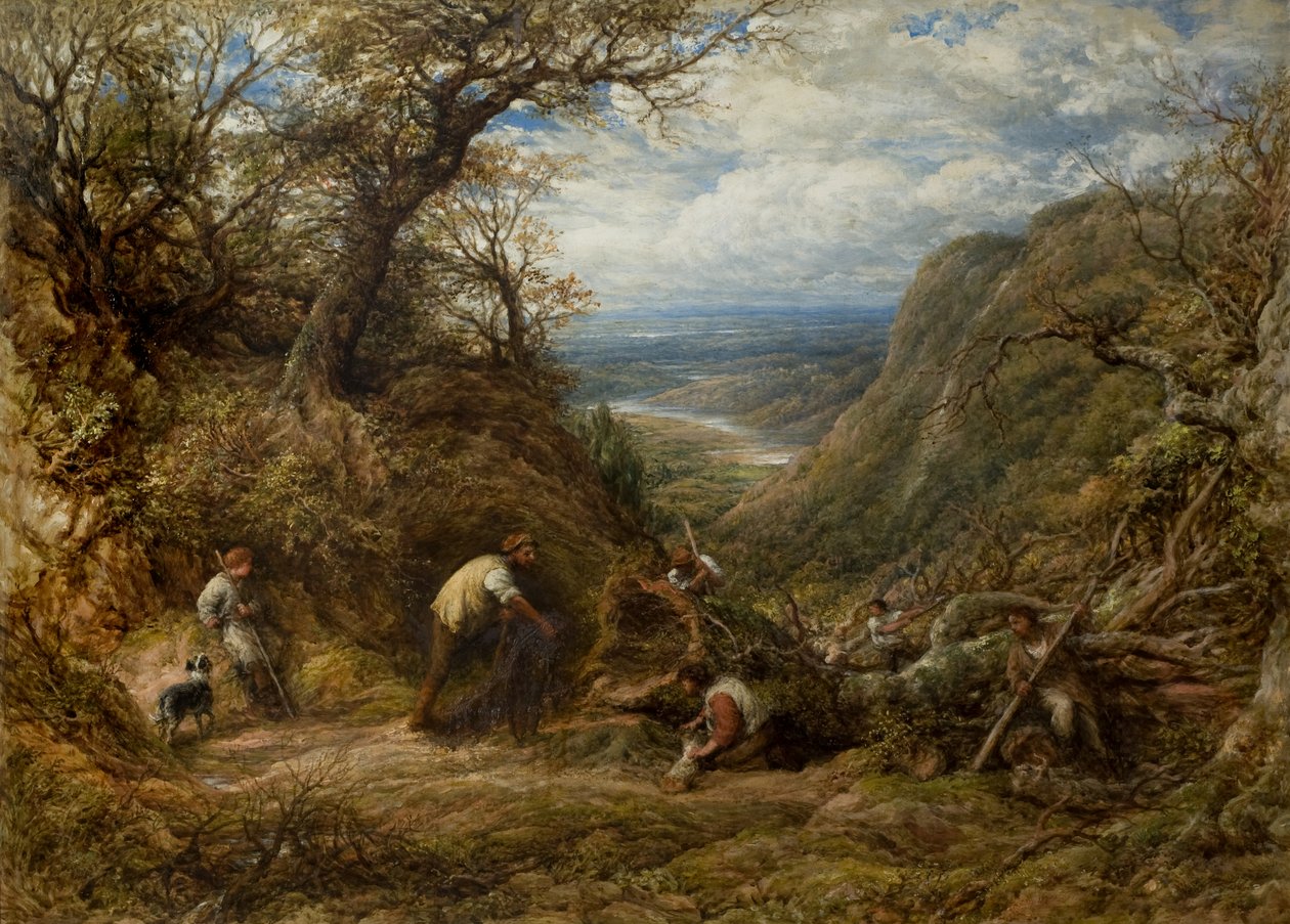The Hollow Tree by John Linnell