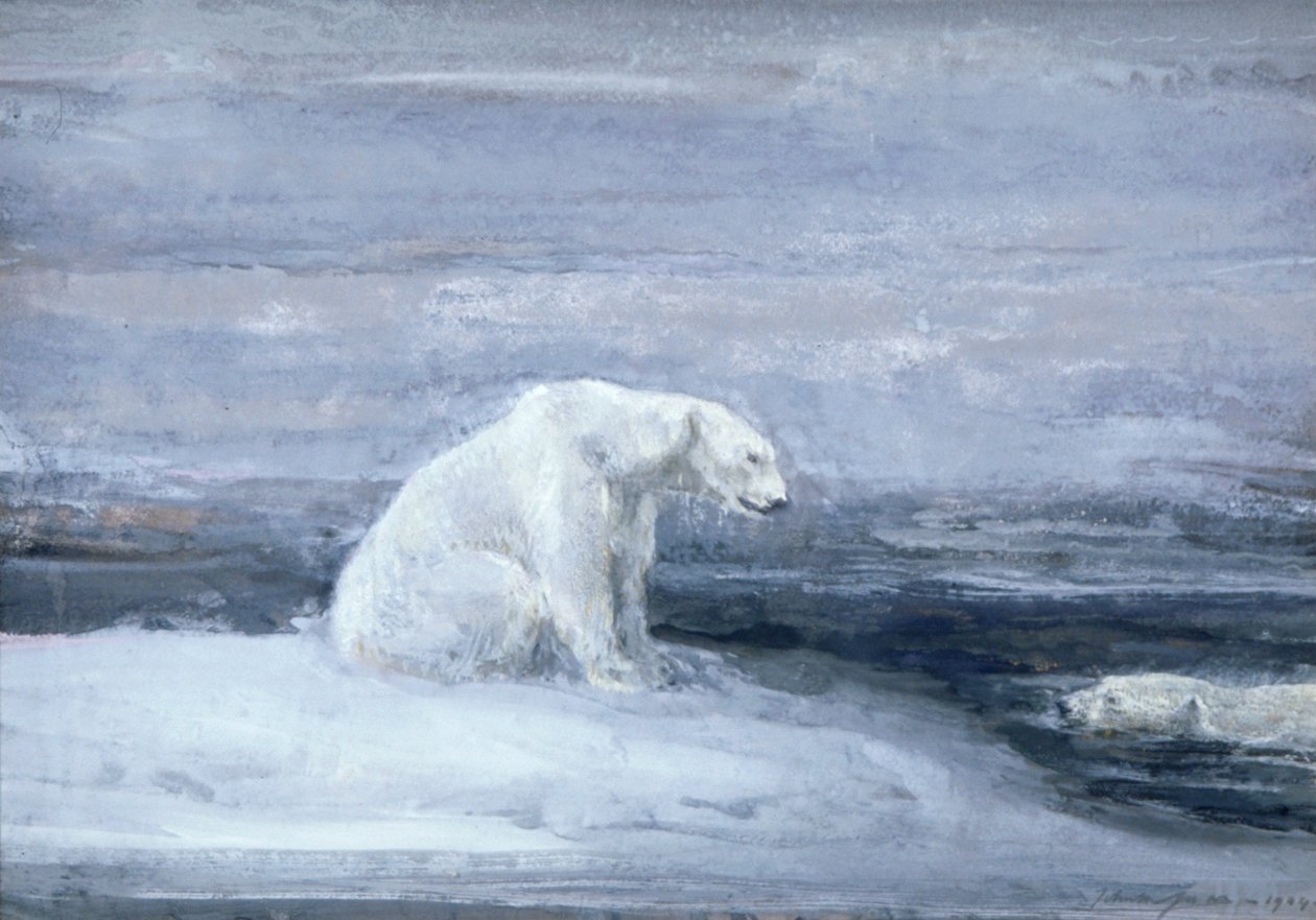 Polar Bears Watching for Seals at an Ice Hole by John Macallan Swan