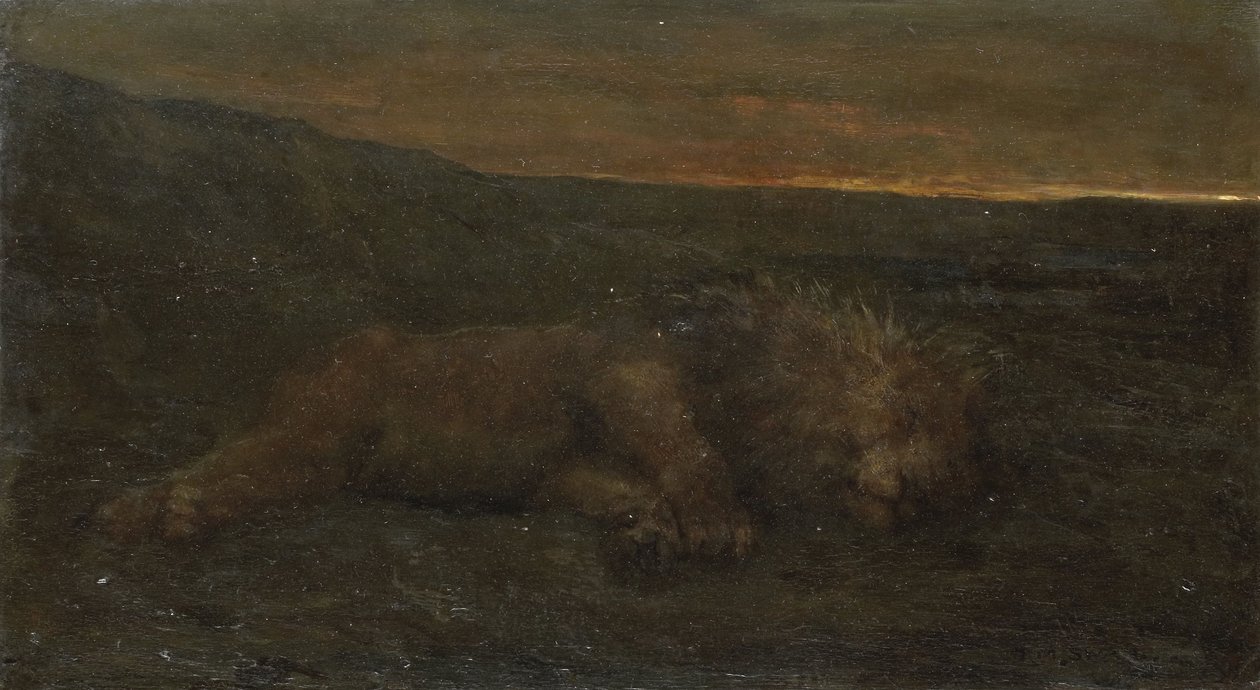 Sleeping Lion by Night by John Macallan Swan