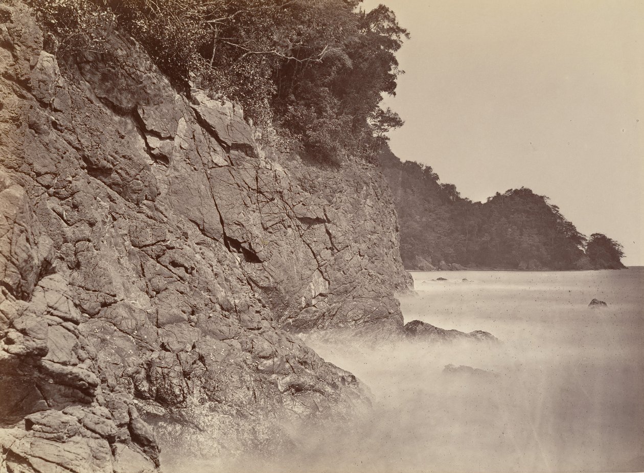 Tropical Scenery, Cliff - Limon Bay, 1871 by John Moran