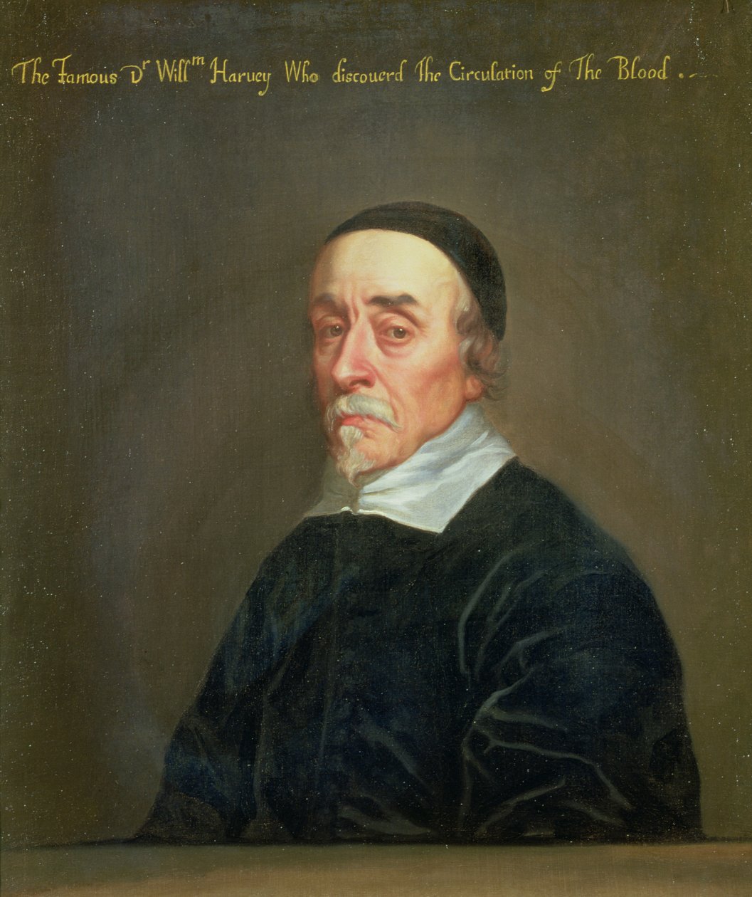 Portrait of William Harvey by John Riley