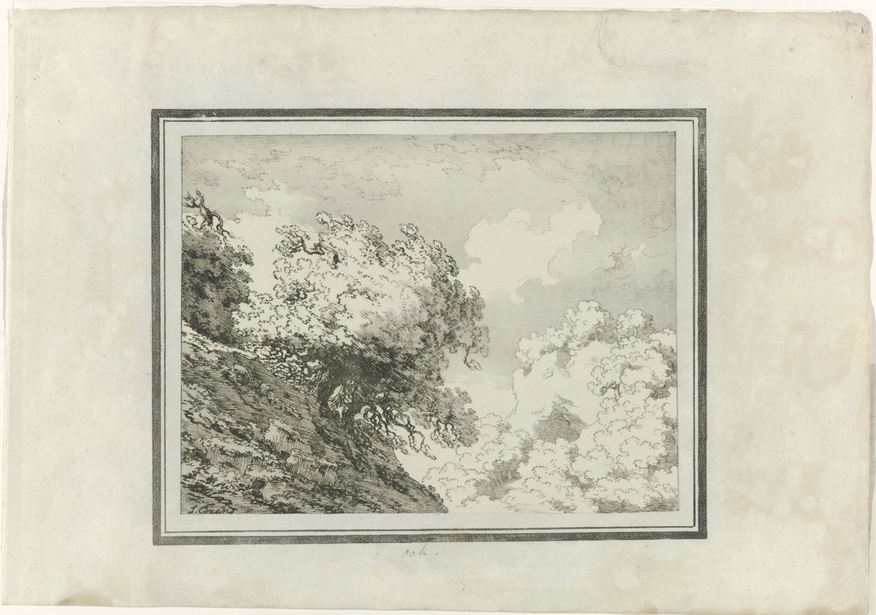 Oak by John Robert Cozens