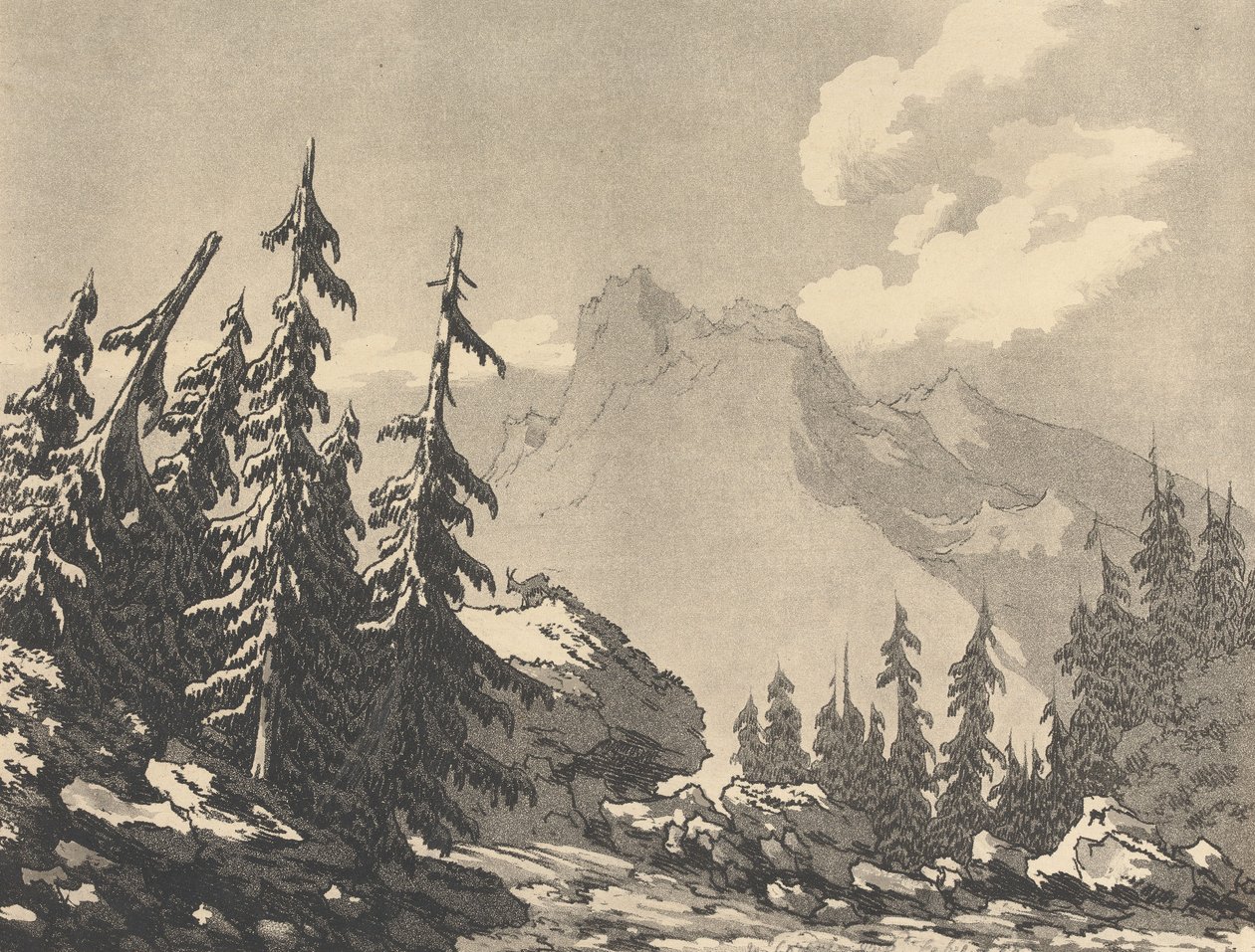 Spruce Fir by John Robert Cozens