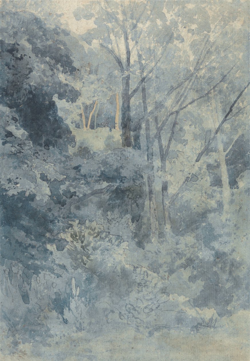 In Rokeby Park by John Sell Cotman