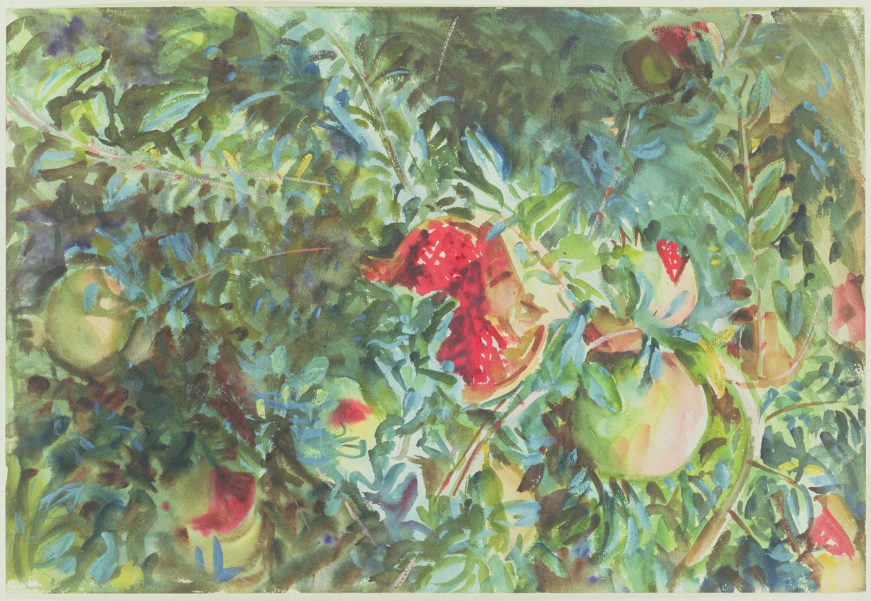 Pomegranates, 1908 by John Singer Sargent