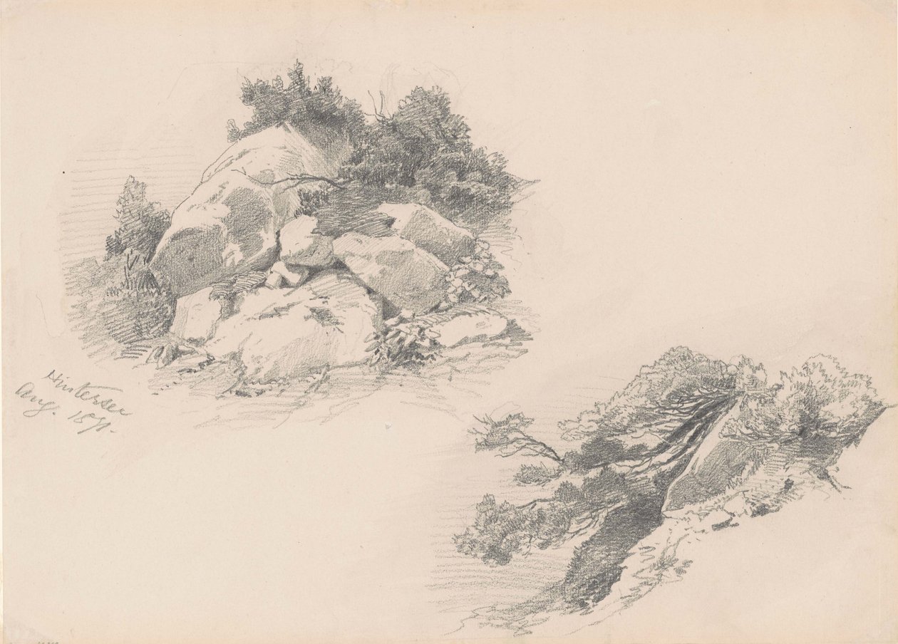 Rocks and Brush, Hintersee, Germany, 1871