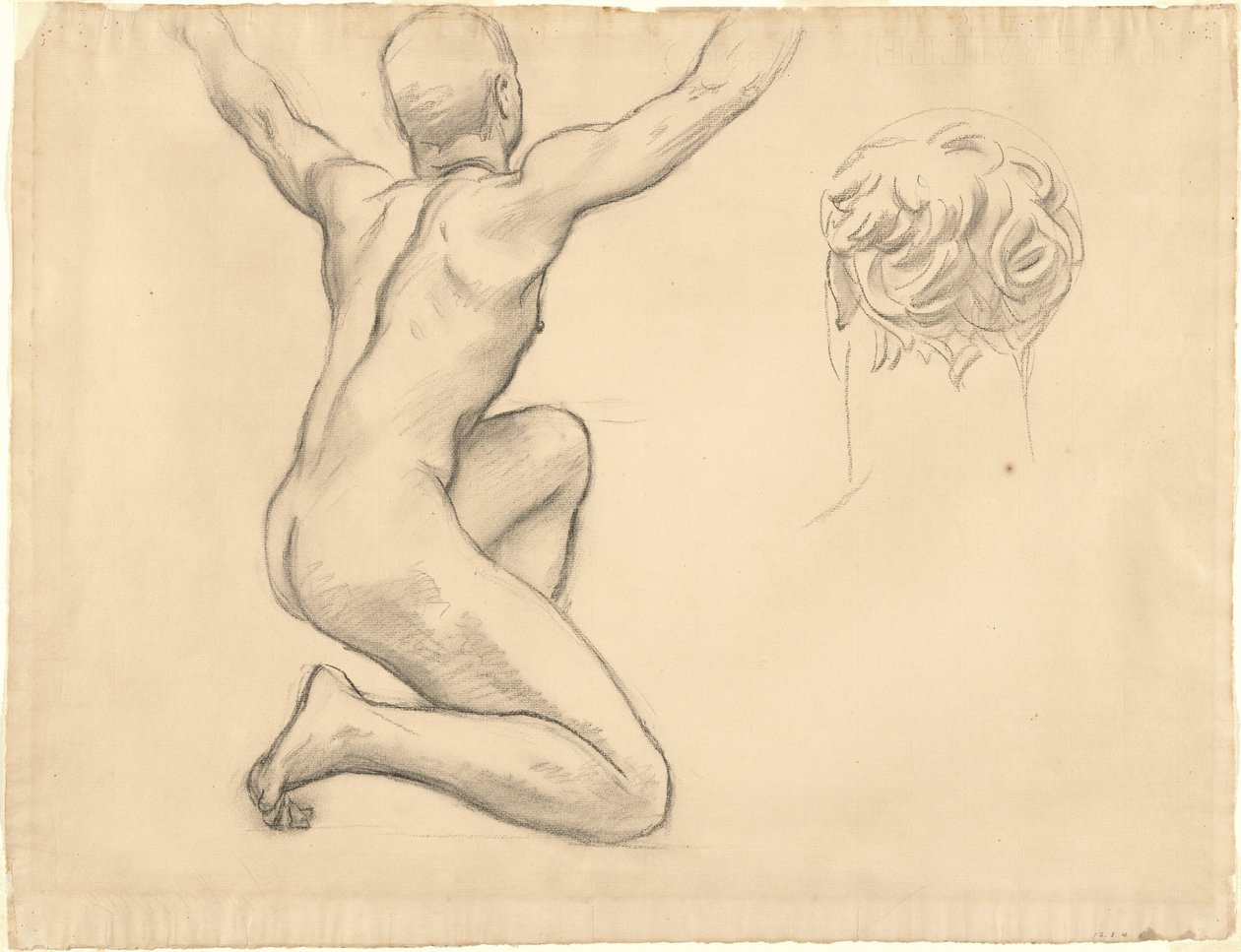 Studies for 