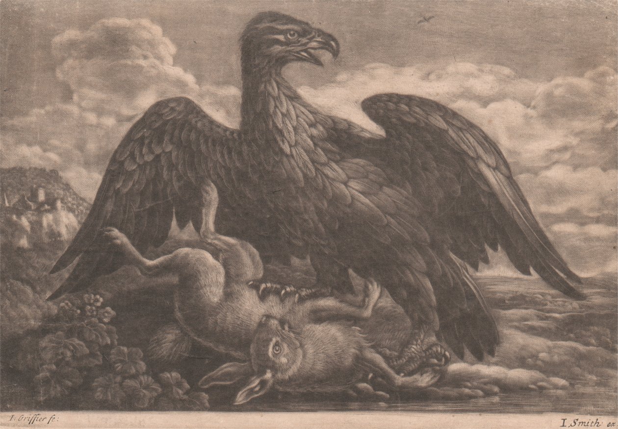 Eagle and Hare by John Smith