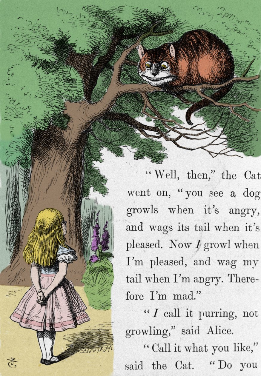 Alice and the Cat, illustration by Sir John Tenniel for the first ...