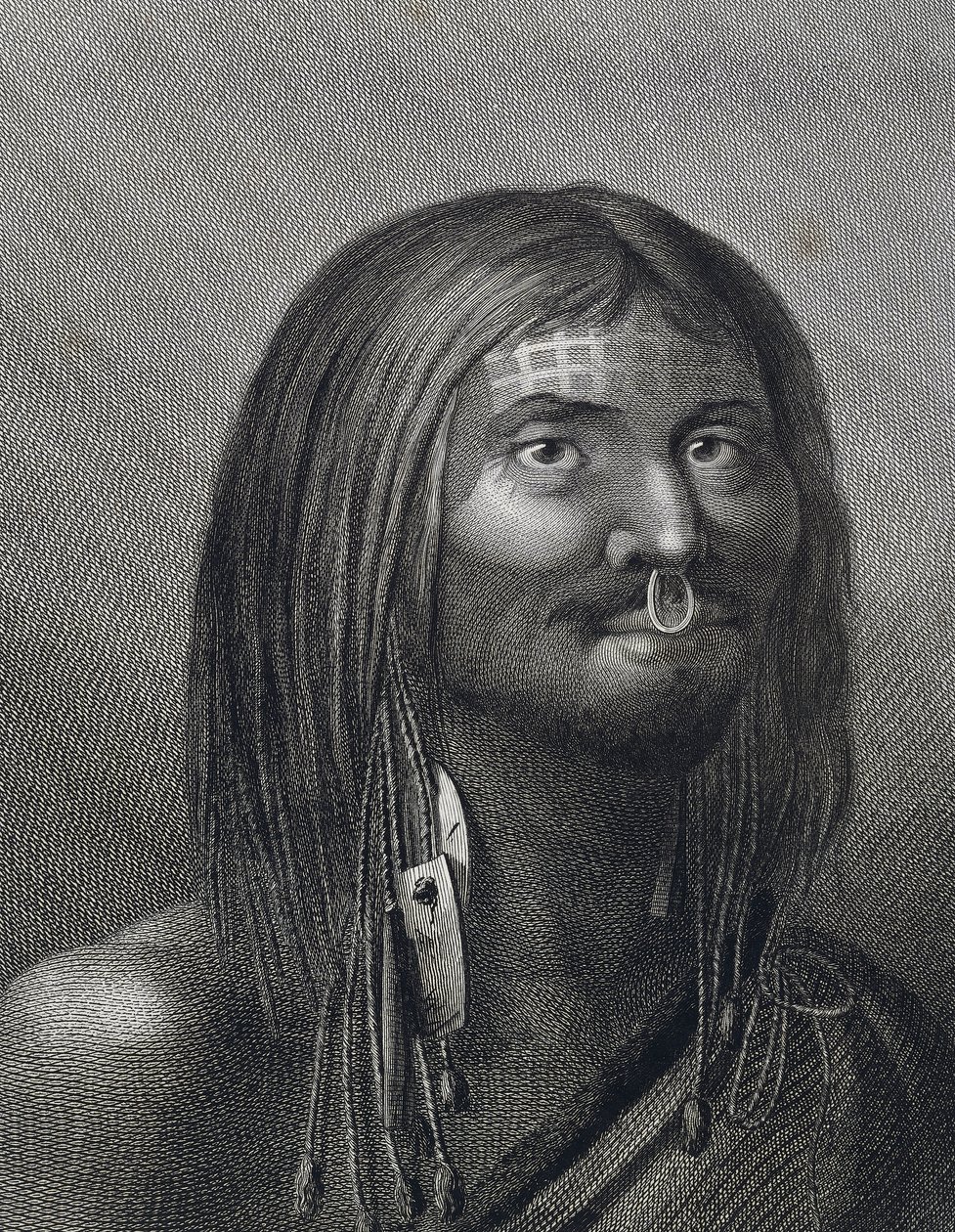 Polynesian man from Nootka Sound, illustration by John Webber made during third voyage of James Cook by John Webber