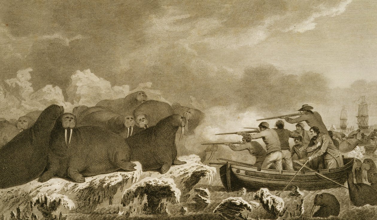 Sea Horses, figures by J. Heath, engraved by E. Scott, plate 52 from 