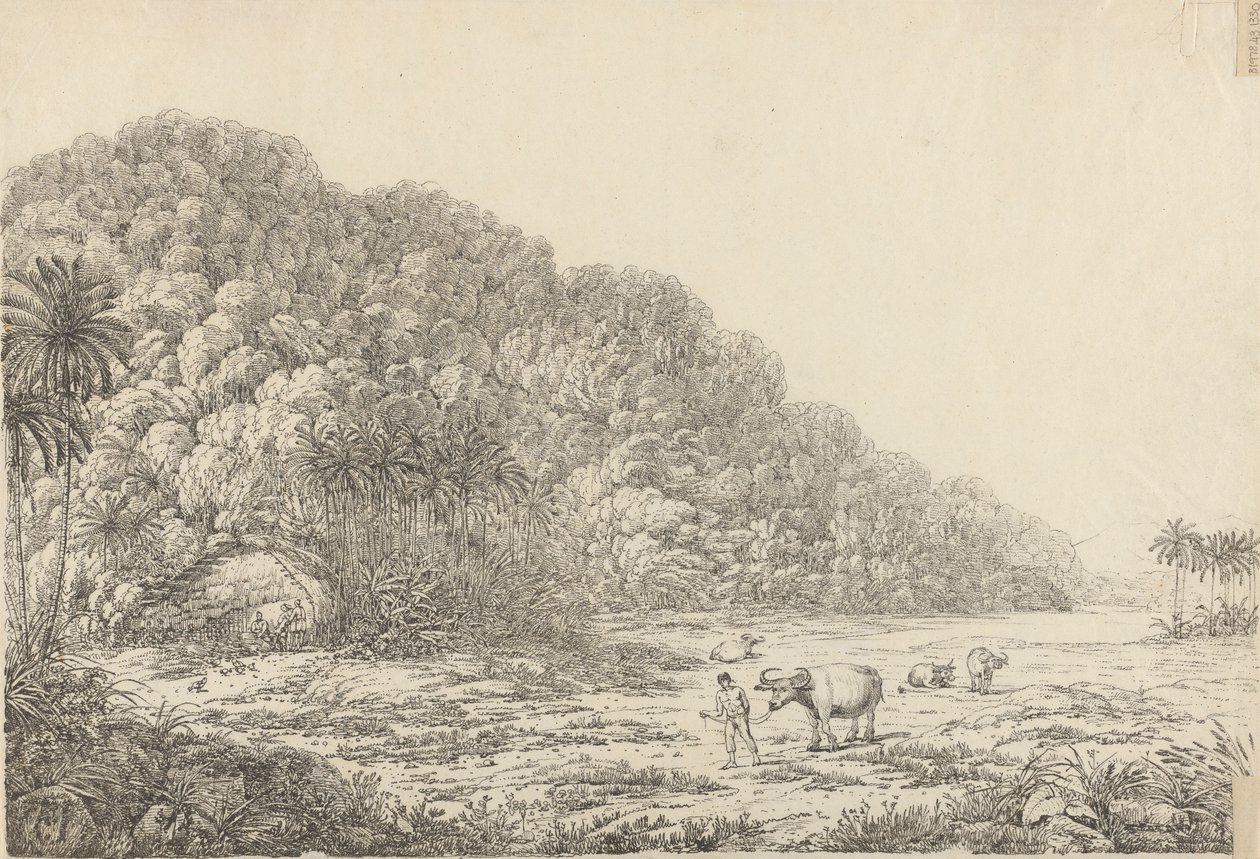 View in the Island of Pulo Condore by John Webber