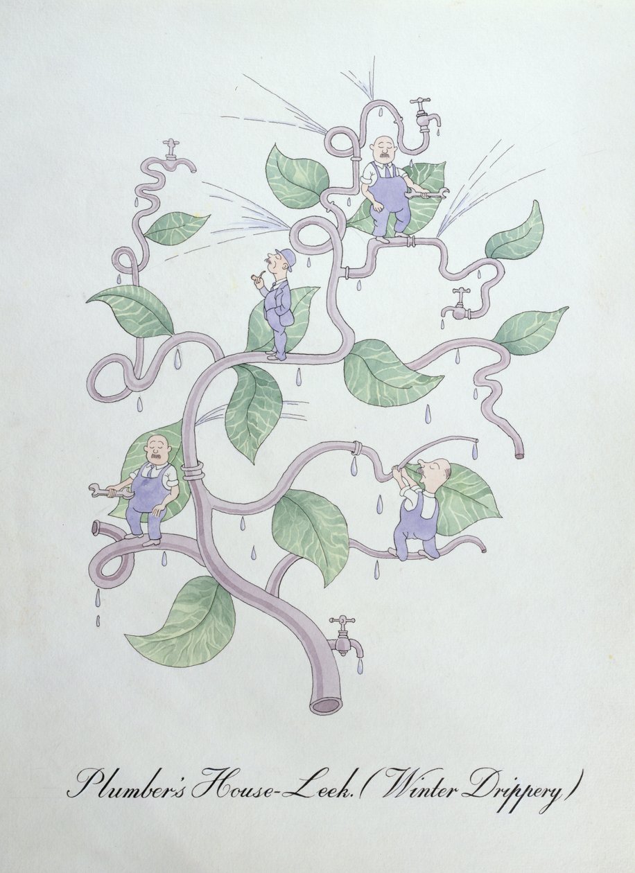 Plumber's House-Leek (Water Drippery), illustration from 'The Bogus ...