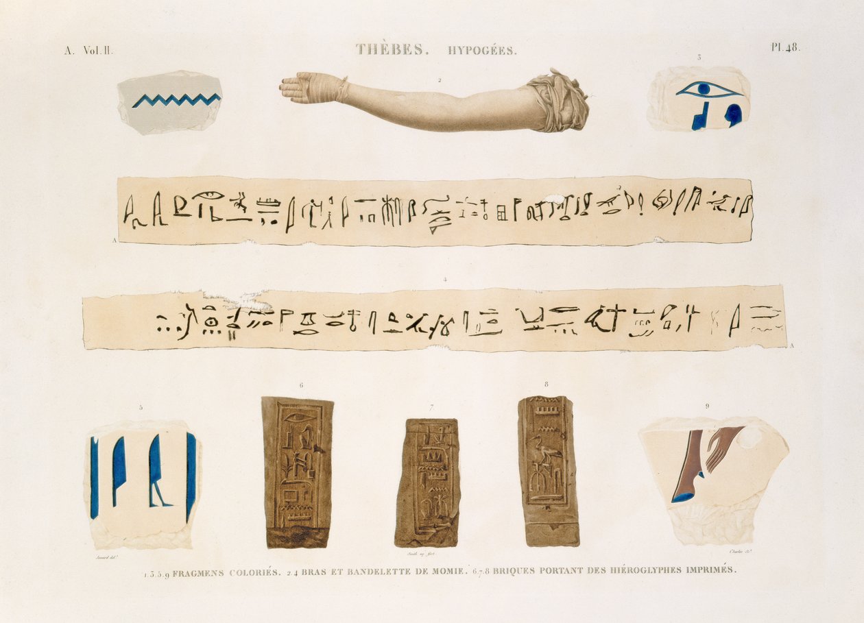 Illustrations of Hieroglyphics and the arm of a mummy from Hypogees, Thebes, plate 48 from Vol II of `Descriptions of Egypt`, engraved by Charles, 1822 by Jomard