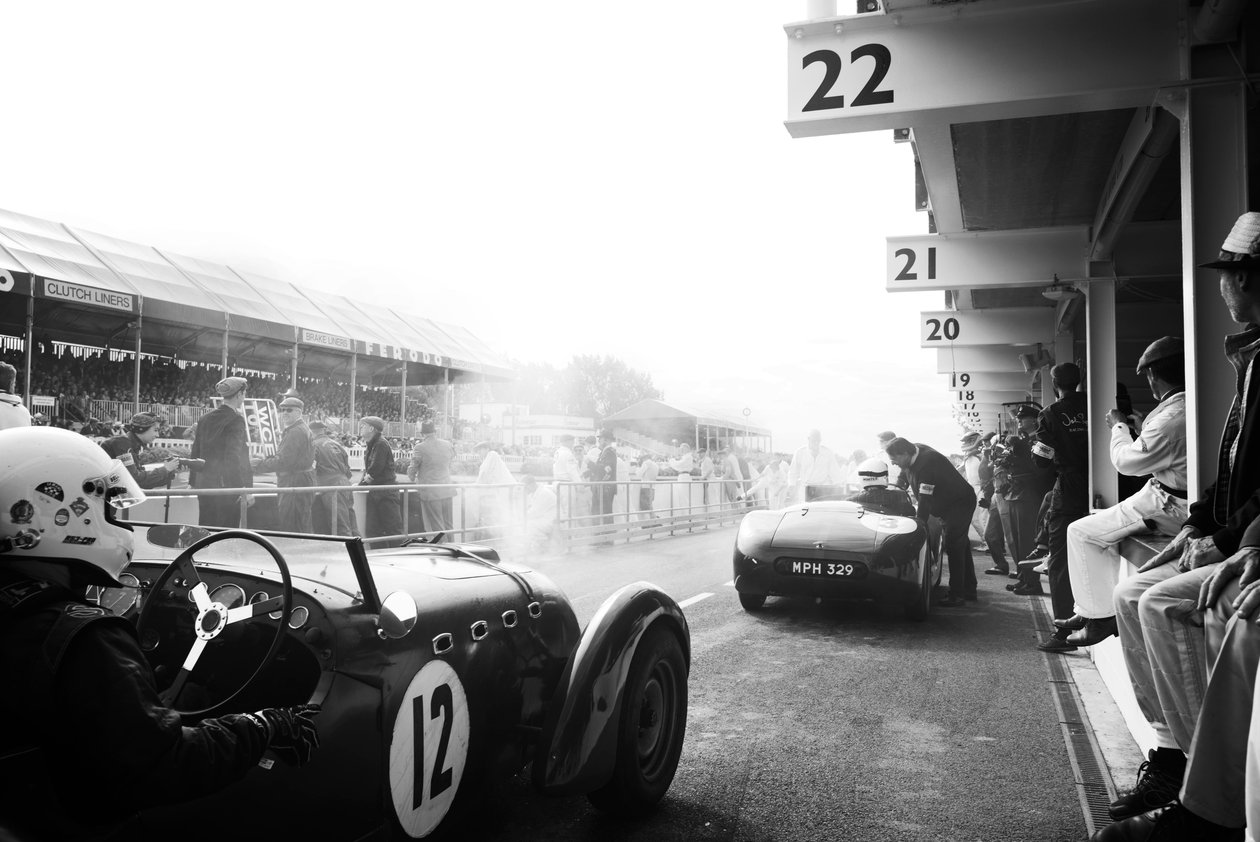 The Goodwood Estate in West Sussex, UK, 2018 by Jon Nicholson