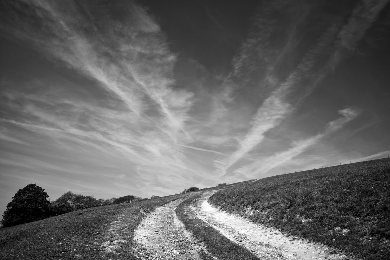 The Goodwood Estate in West Sussex, UK, 2019 by Jon Nicholson