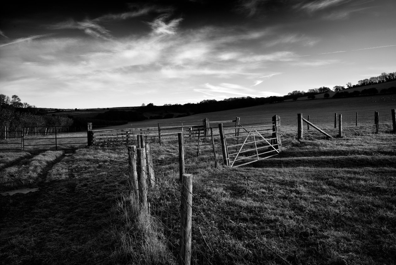 The Goodwood Estate in West Sussex, UK, 2019 by Jon Nicholson