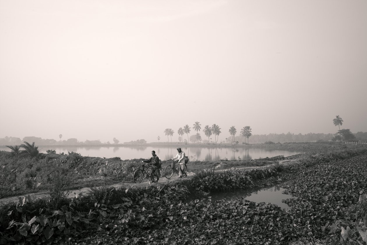 Wetland Fishing in Kolkata, 2016 by Jon Nicholson