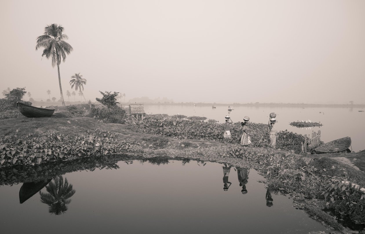 Wetland Fishing in Kolkata, 2016 by Jon Nicholson
