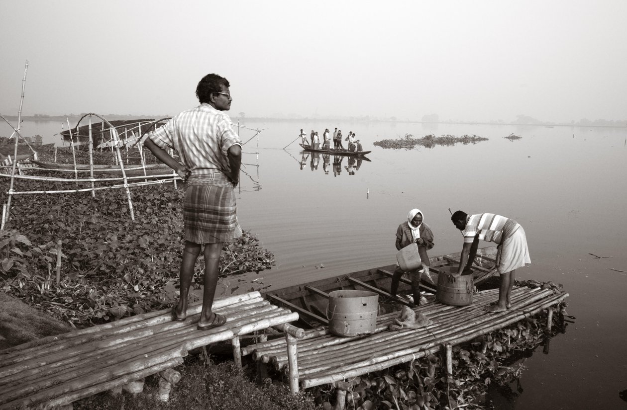 Wetland fishing in Kolkata, 2016 by Jon Nicholson