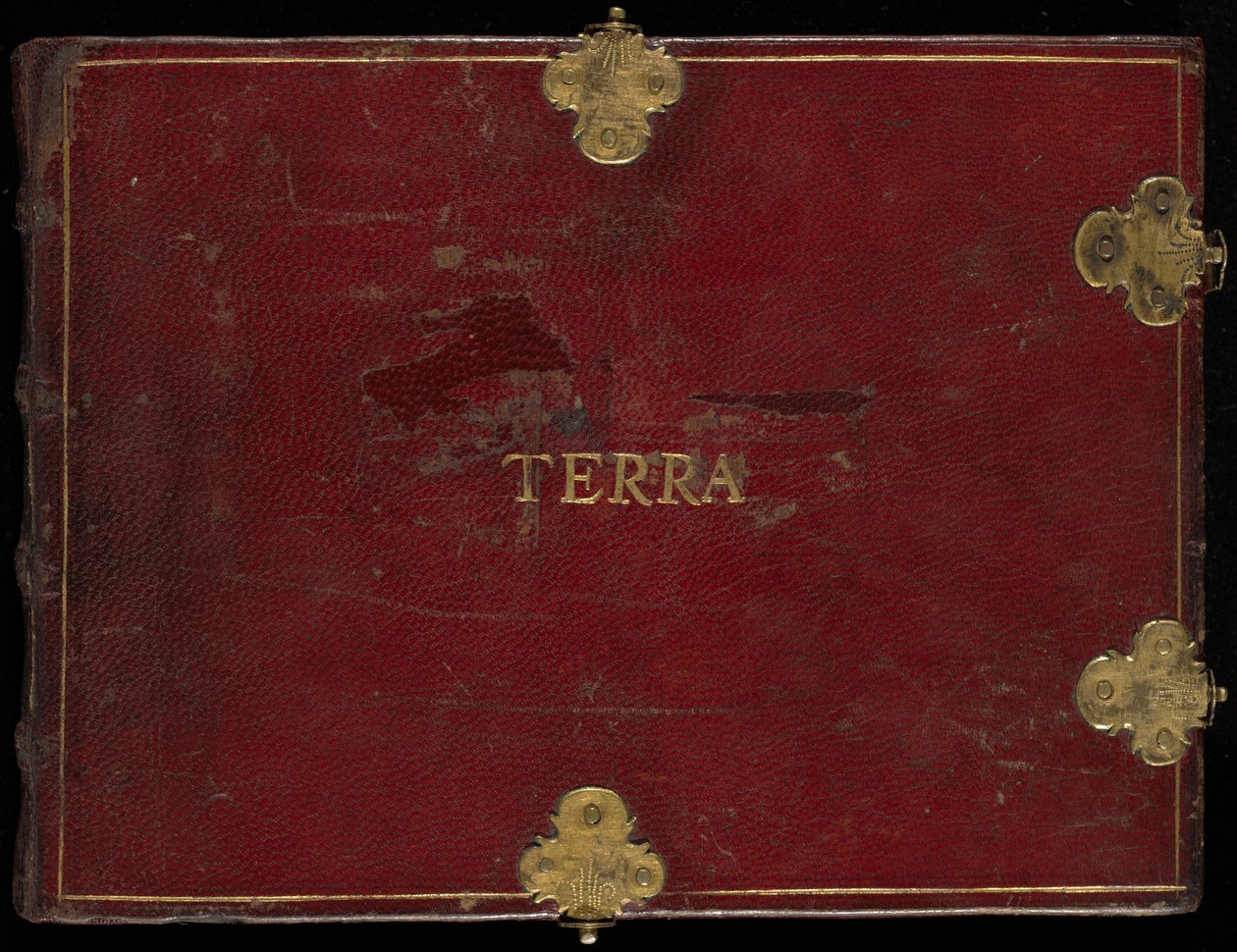 Animalia Quadrupedia et Reptilia (Terra), Volume II by Joris Hoefnagel