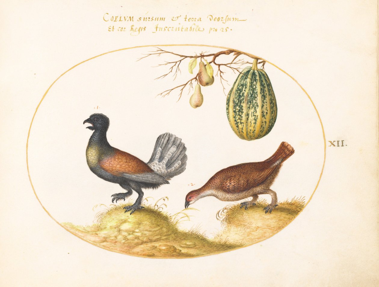 Plate 12: Pair of Wood Grouse with a Melon and Pears by Joris Hoefnagel