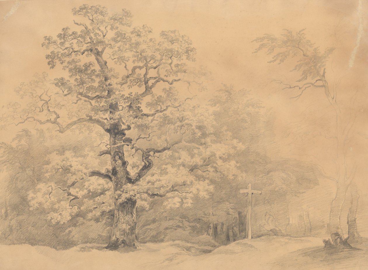Tree Study by Josef Kriehuber