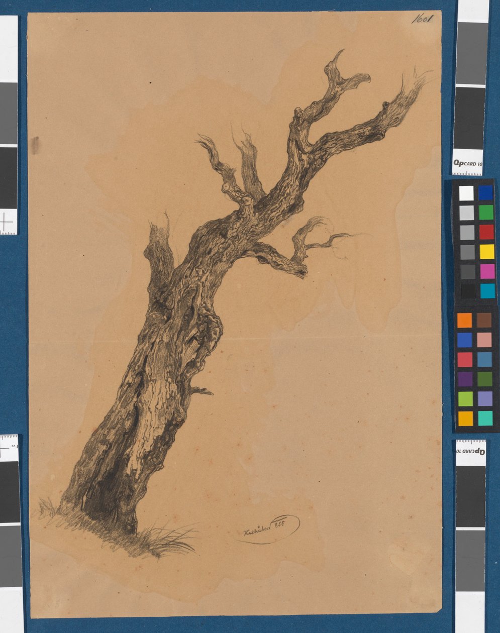 Bare Tree - Study of a Tree by Josef Kriehuber