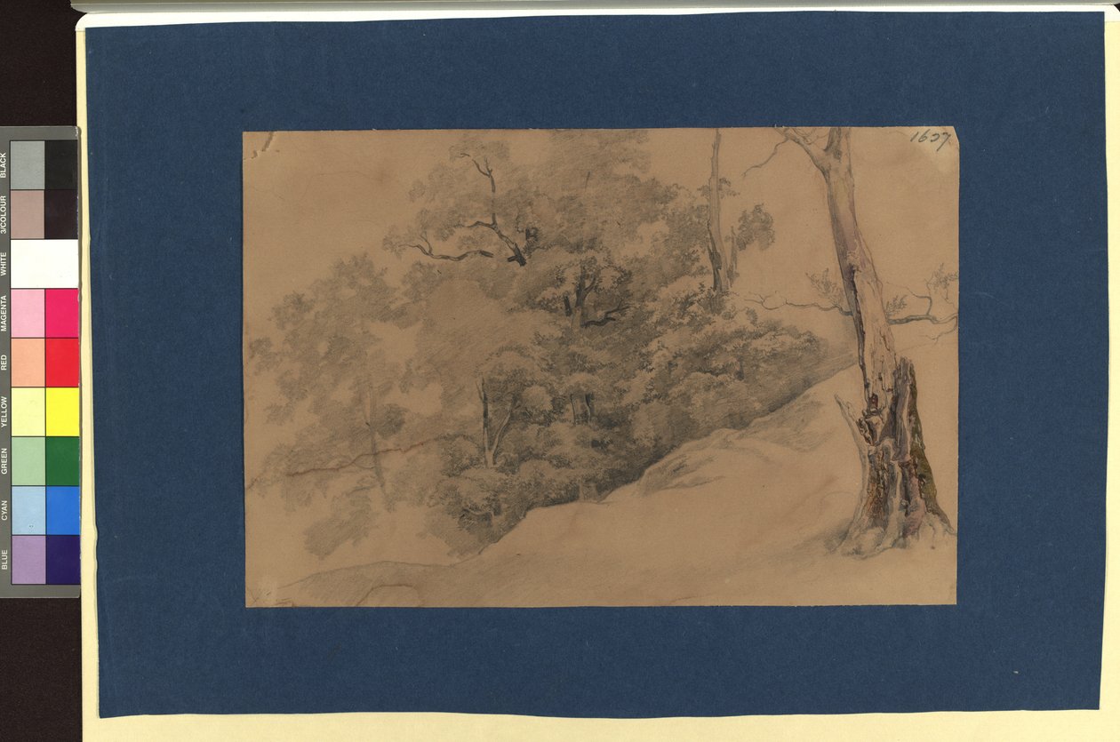 Landscape Study by Josef Kriehuber