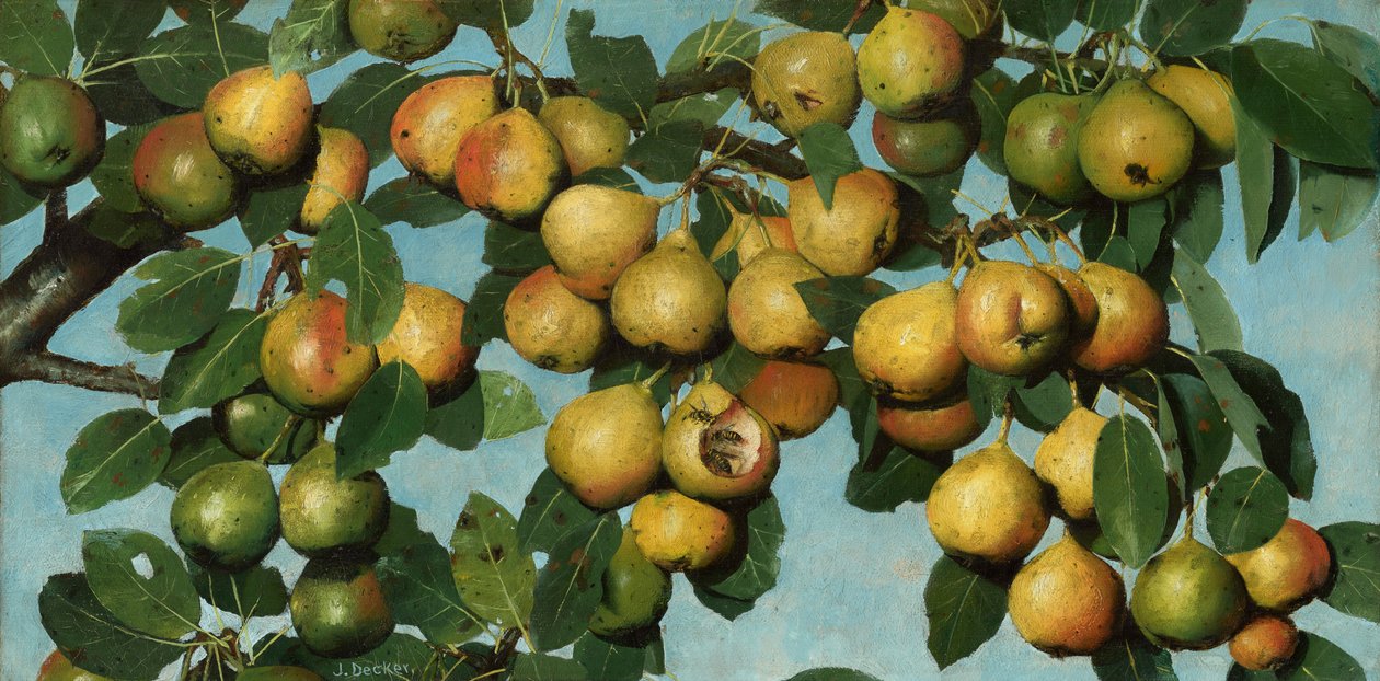 Ripening Pears, c.1884-1885 by Joseph Decker