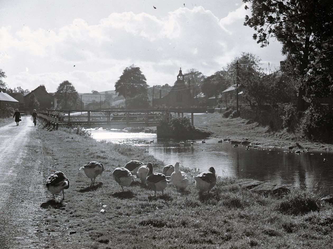 A view of a stream with a bridge, geese in the foreground, buildings and a church in the background by Joseph Hardman