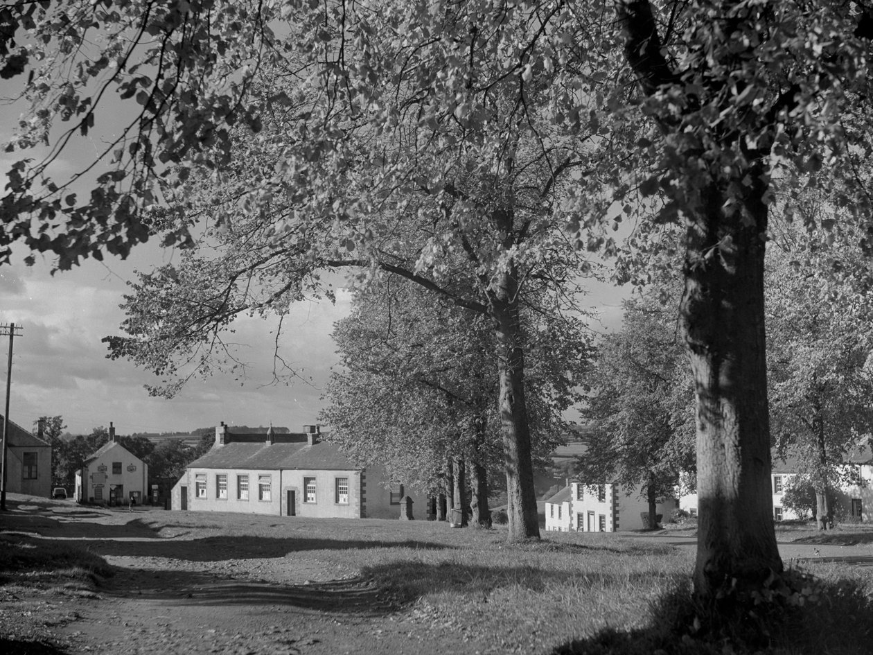 Trees in leaf and view of village buildings by Joseph Hardman