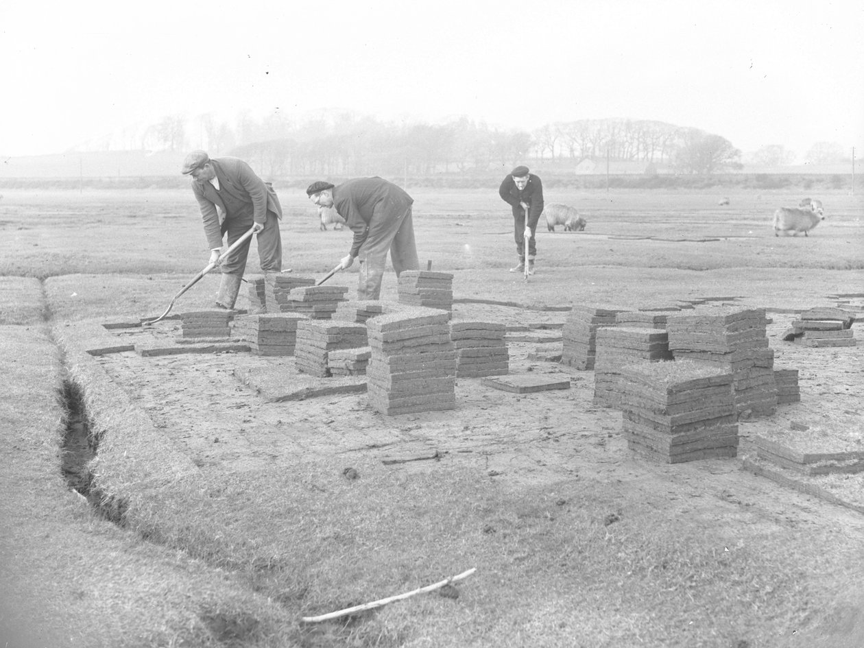 Turf Cutters Cutting, Lifting and Stacking Turf by Joseph Hardman
