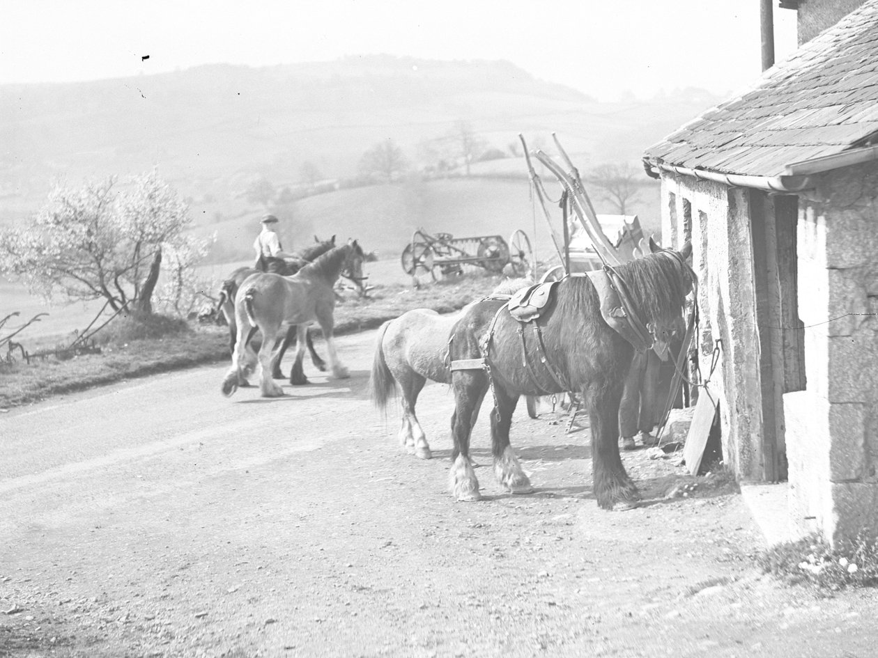 Work Horses Outside Crostwaite Smithy by Joseph Hardman