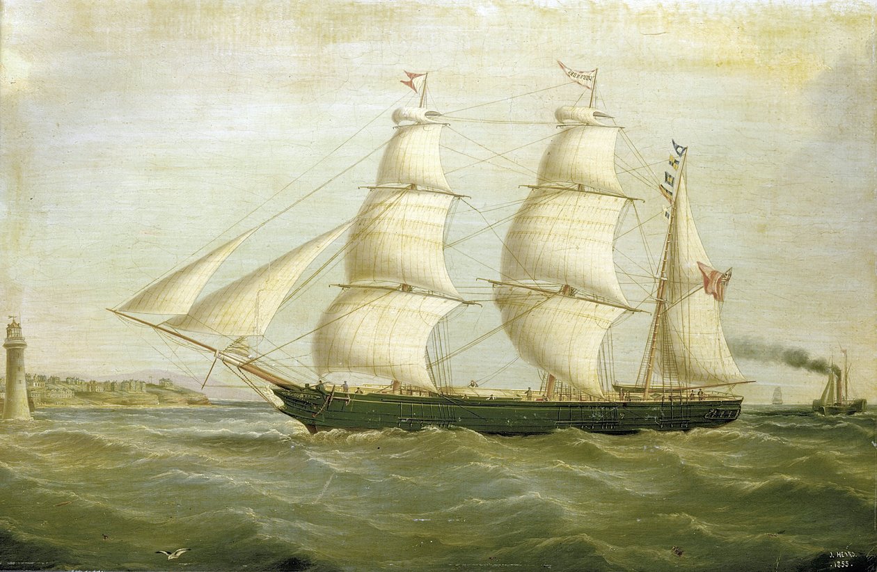 The sailboat 