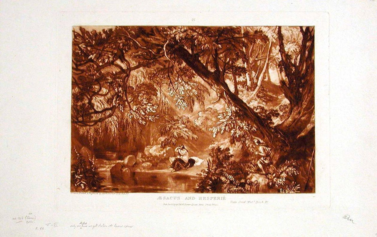 Aesacus and Hesperie by Joseph Mallord William Turner