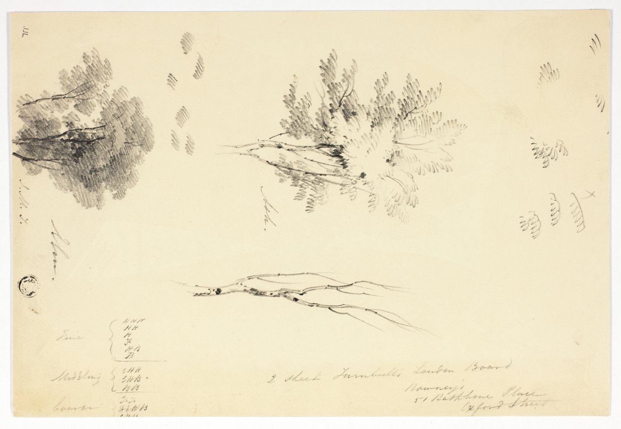 Sketches of Elm and Ash Trees by Joseph Mallord William Turner