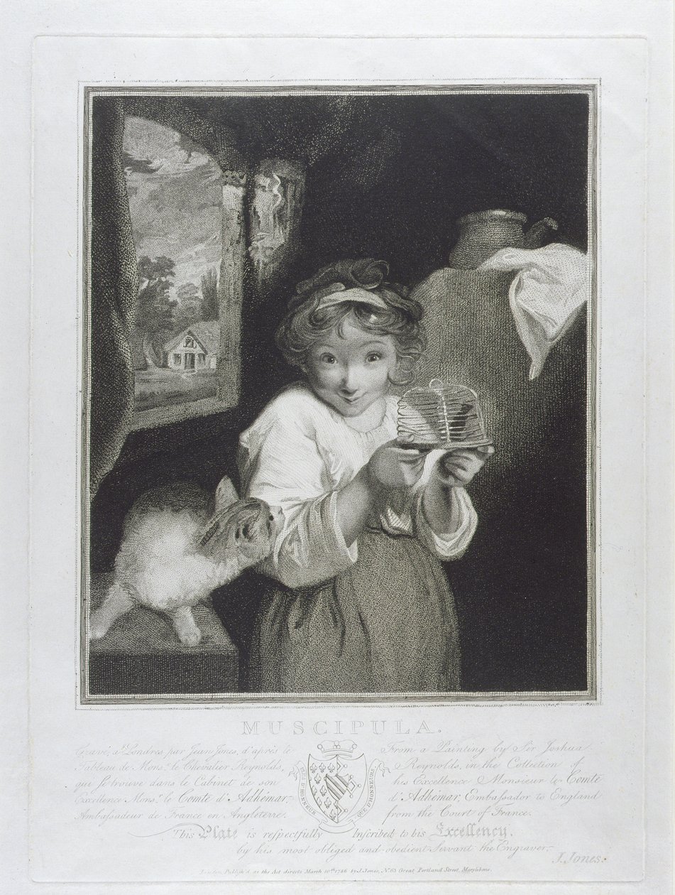 Muscipula, engraved by John Jones (c.1745-97) 1786 by Joshua Reynolds