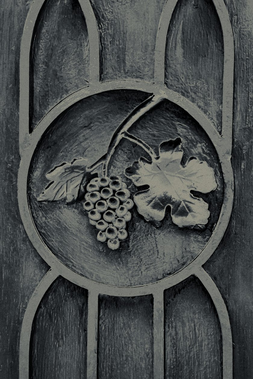 Fruits of the Garden, from the series The Observant by Joy Lions