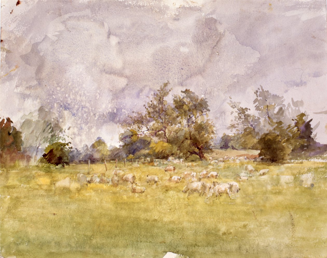 Animals in the Wild by Joyce Haddon