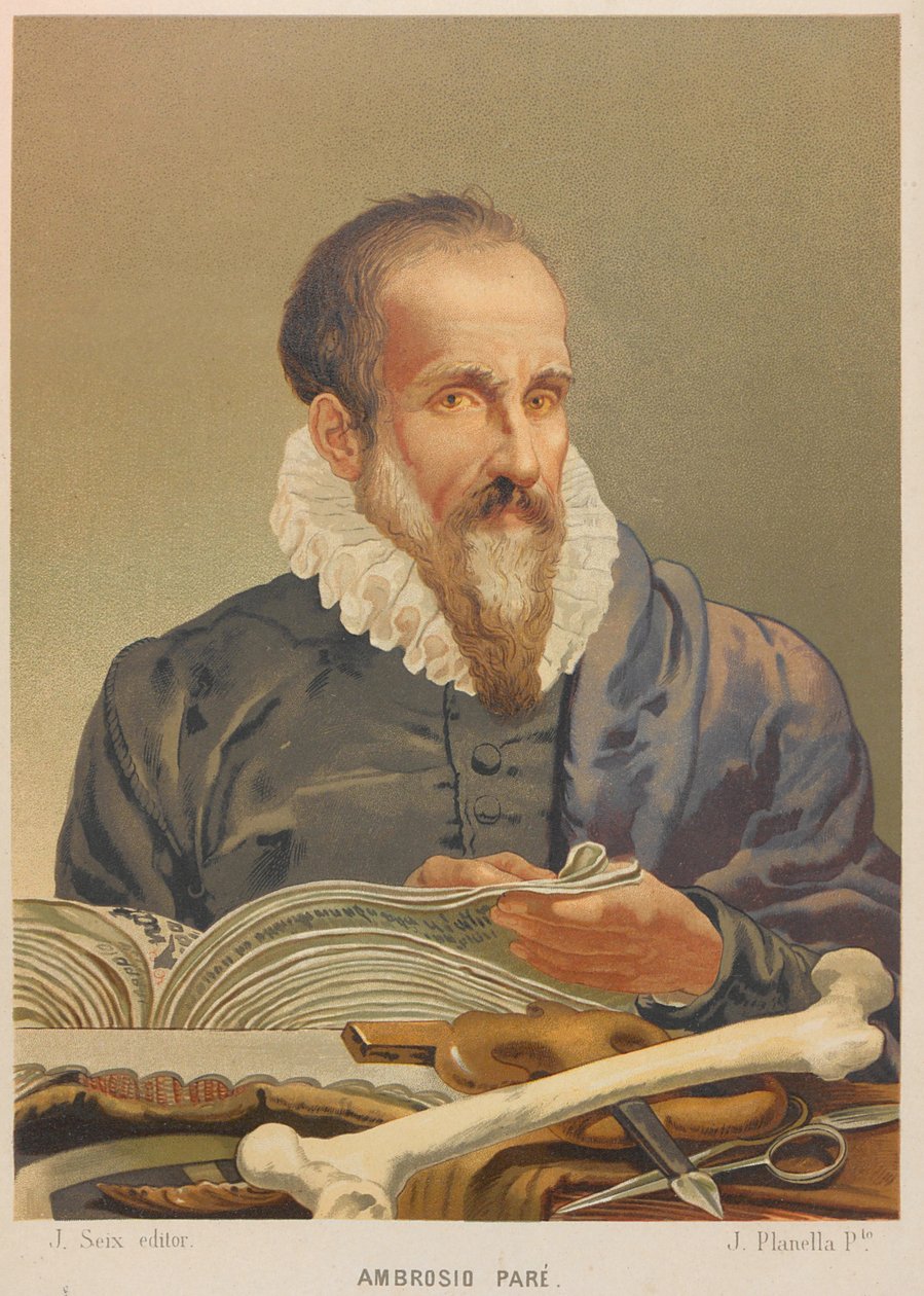Portrait of Ambroise Paré by Juan Planella y Rodríguez