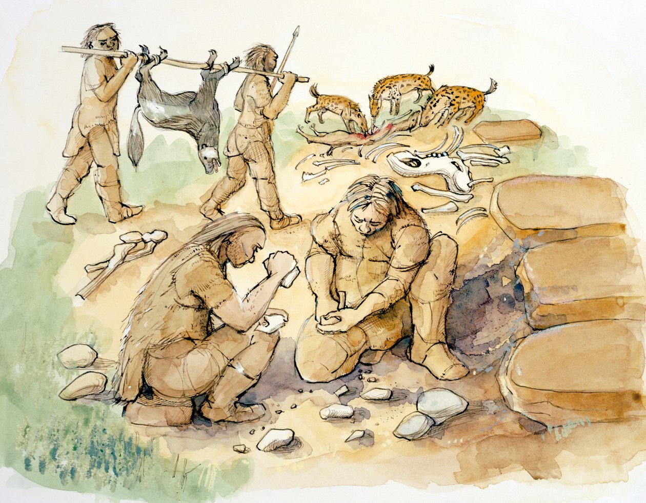 Hominids and Hyenas, Middle to Upper Palaeolithic (30000 BP), 2001 by Judith Dobie