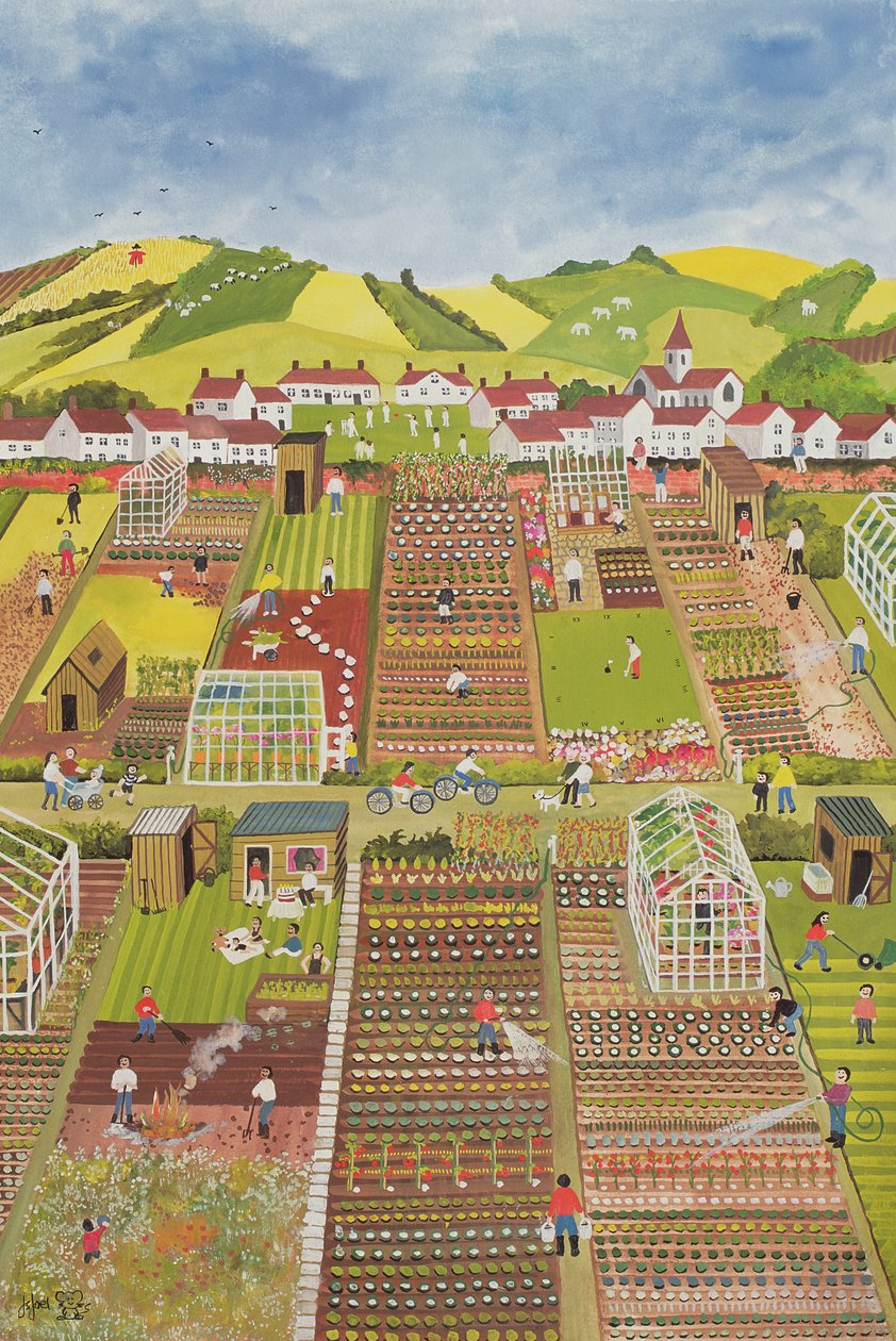 Allotments by Judy Joel