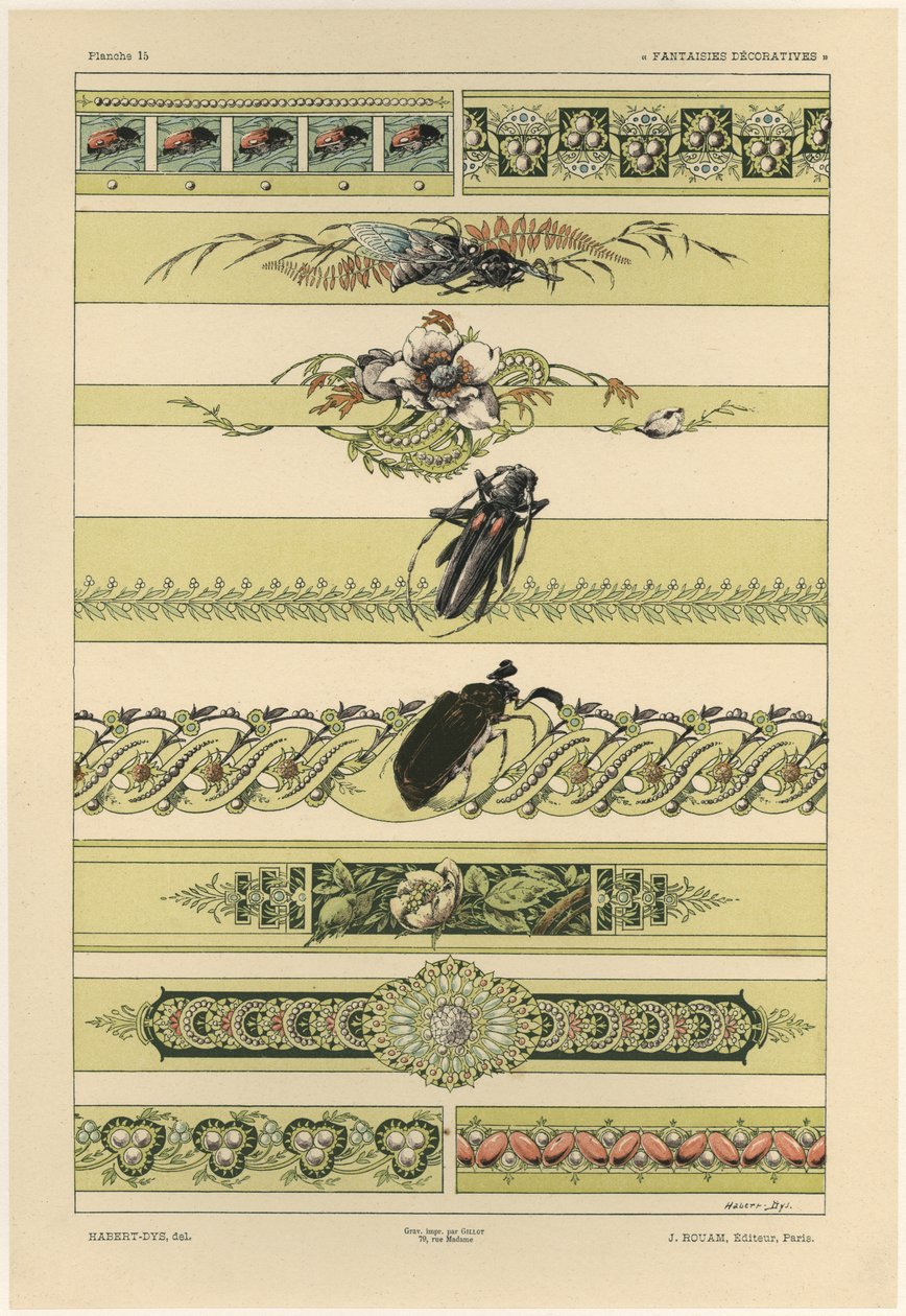 Beetles, plate 14 from 