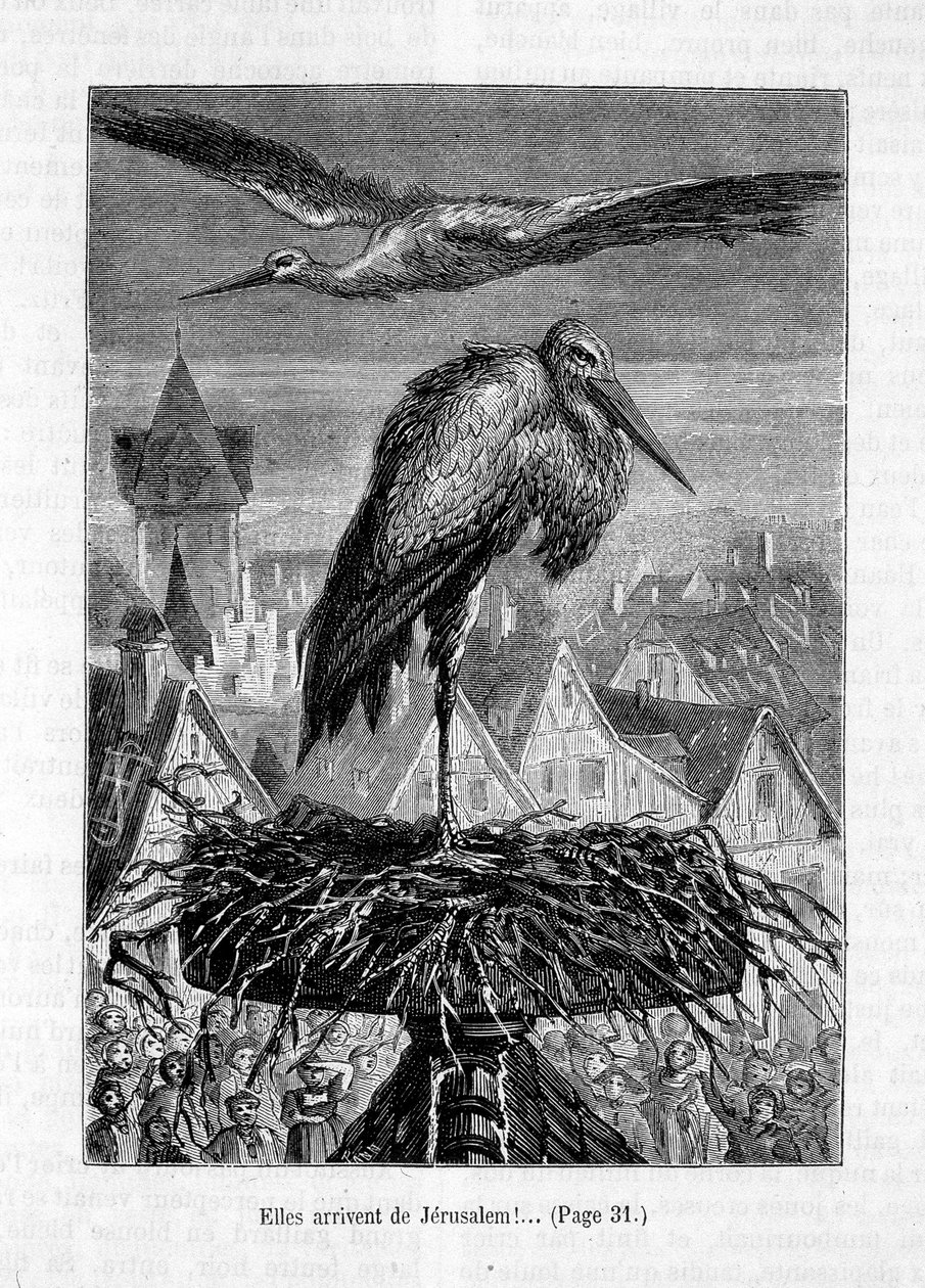 Storks on a roof - in 